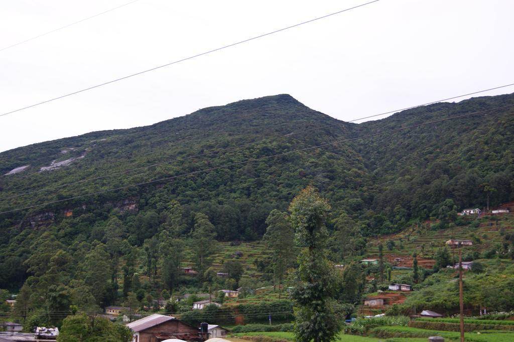 Winter Dream Holiday Bungalow Nuwara Eliya Oda fotoğraf