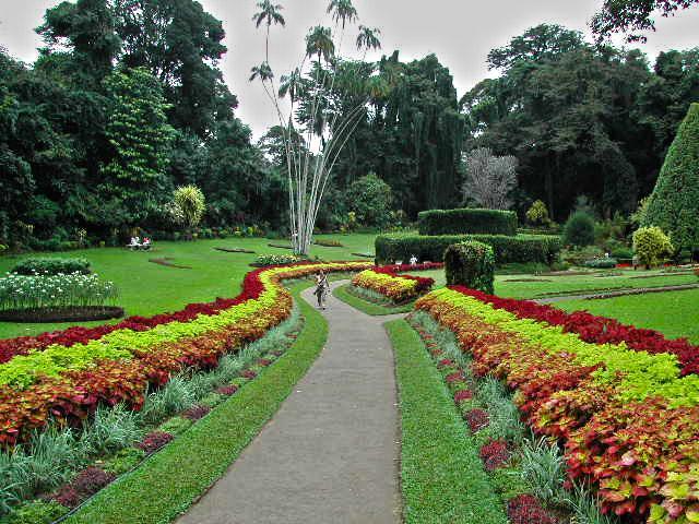 Winter Dream Holiday Bungalow Nuwara Eliya Dış mekan fotoğraf